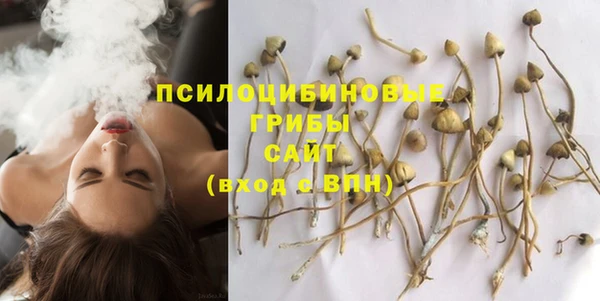 ALPHA PVP Куйбышев