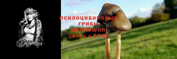 ALPHA PVP Куйбышев