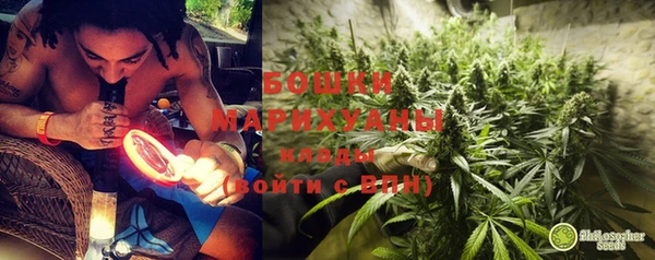 дживик Лагань
