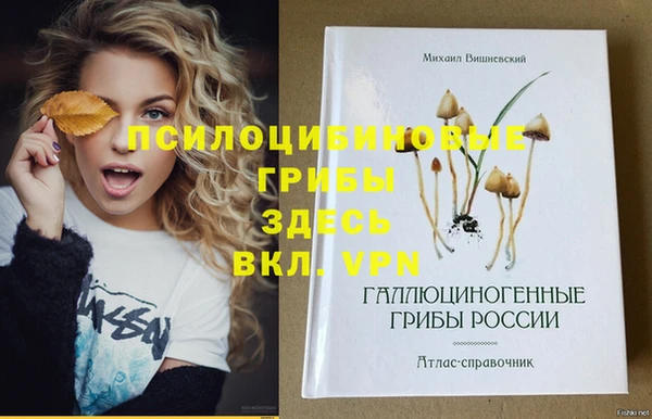 амф Кулебаки