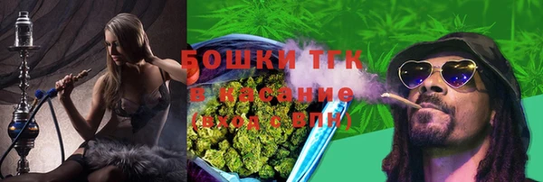 амф Кулебаки