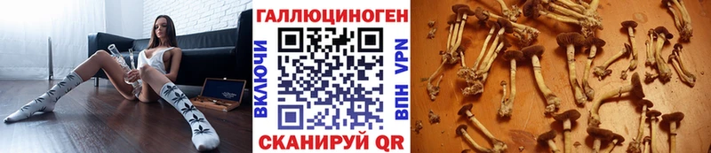 Галлюциногенные грибы GOLDEN TEACHER  Среднеколымск 